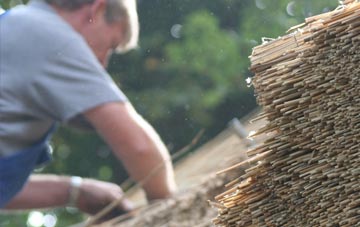 professional Pool thatchers