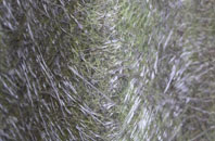 Pool fibreglass roof work